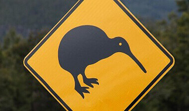 Important information for Kiwi’s living in Australia on the Subclass 444 Special Category Visa