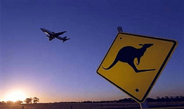 Potential Visa Law Reforms Confirm Morrison Means Business