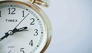 Online processing times for global visa and citizenship applications