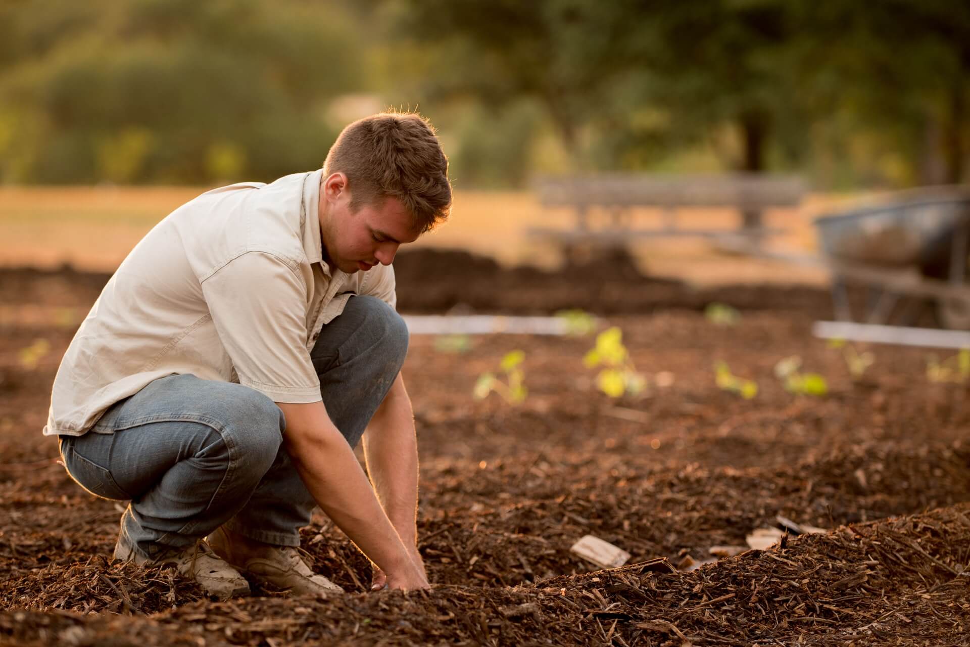A new agricultural visa for Australia